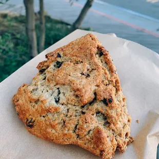 oat scone