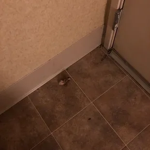 Filthy TP laying behind door, misc debris do they even have a broom or vacuum.