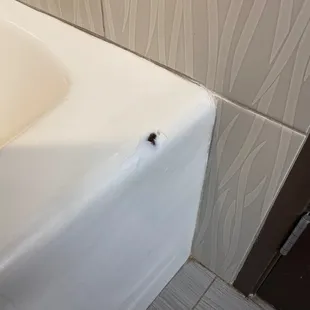 Bathtub has chip in it