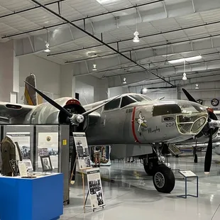 Really cool display and up close viewing