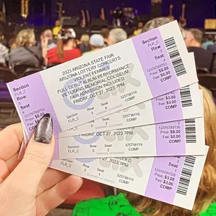Violent Femmes concert in Coliseum during state fair