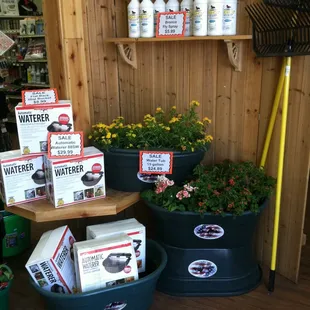 Automatic waterers for 4 legged friends.