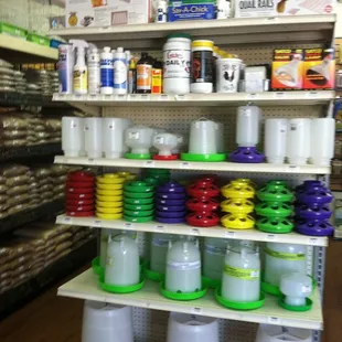 Poultry Supplies