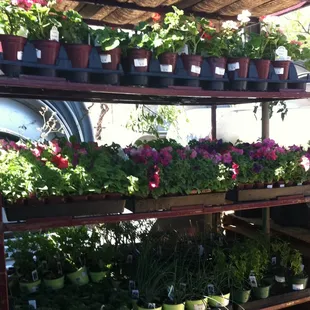 We carry starter plants, seeds and gardening books to have your yard looking just the way you want it!