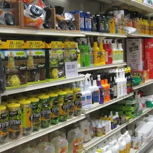 Fly trap needs &amp; more