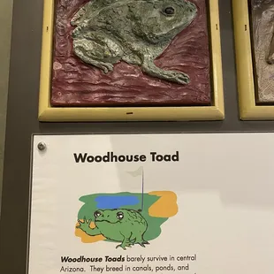 The sound of this toad is bizarre, visit and hit the button to hear it.