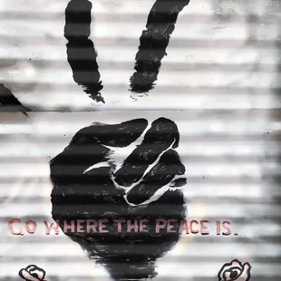 a hand holding a peace sign