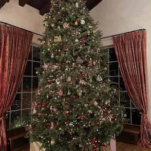 2021 Christmas tree in the library