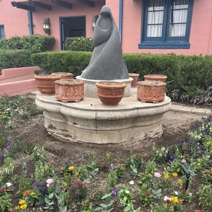 More of the grounds with rooms in the back ground.