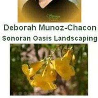 Deborah M.