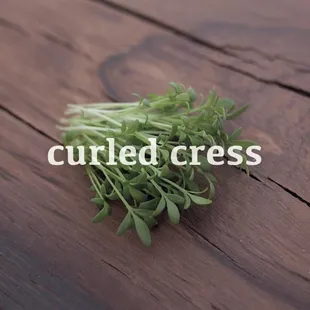 a bunch of microgreens on a wooden table