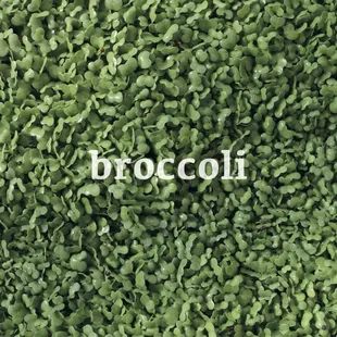 the word broccoli