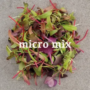 micro mix