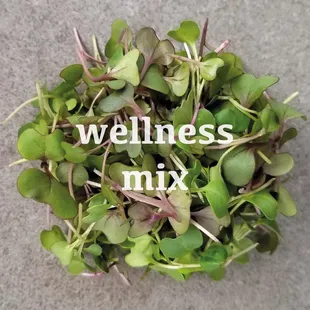 wellness mix