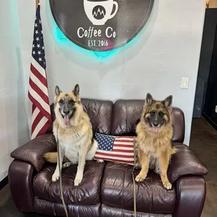 They are dog friendly!