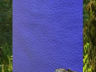 Pangaea Land of the Dinosaurs