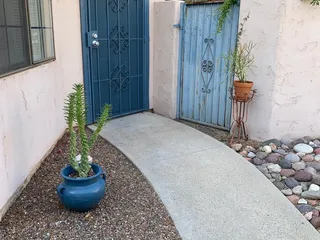 Old Pueblo Cactus