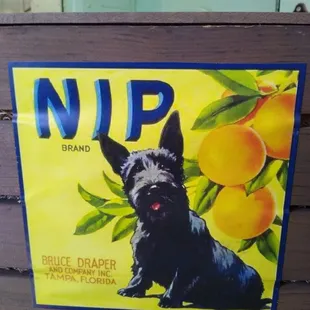 Watch out, this dog can NIP