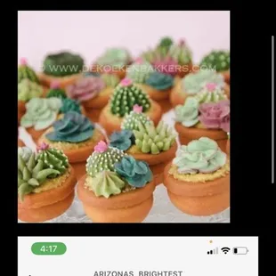 What the brownies were promised to look like