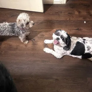 That's kimchi on the left.