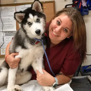 Arizona Spay Neuter: Tucson- AZ, United States