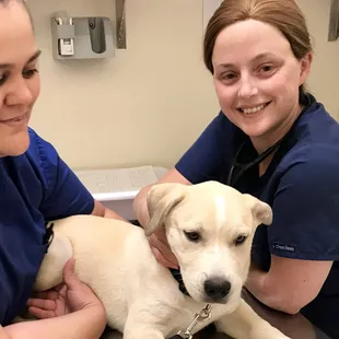 Arizona Spay Neuter: Tucson- AZ, United States