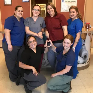 Arizona Spay Neuter: Tucson- AZ, United States