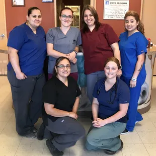 Arizona Spay Neuter: Tucson- AZ, United States