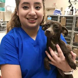 Arizona Spay Neuter: Tucson- AZ, United States