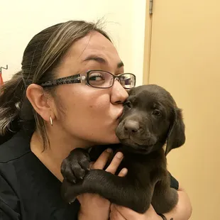 Arizona Spay Neuter: Tucson- AZ, United States