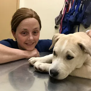 Arizona Spay Neuter: Tucson- AZ, United States