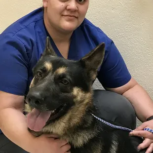 Arizona Spay Neuter: Tucson- AZ, United States