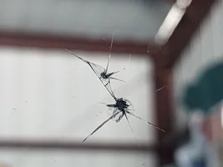 Arizona Trucking & Materials