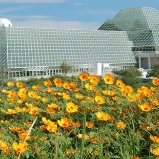 Tucson is "Science City" Be sure to include a visit to Biosphere 2. Experience it!