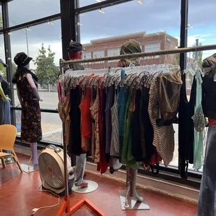 Looking out the front window