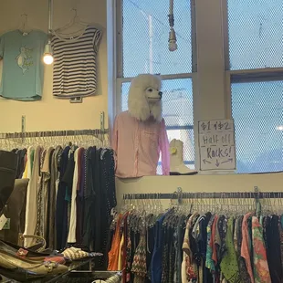 And people wonder why poodles freak me out