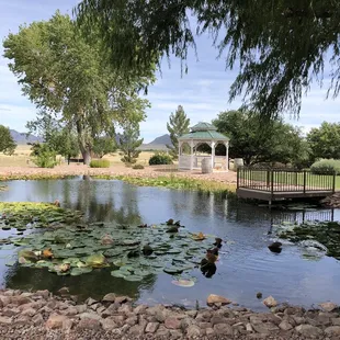 Our view at whole eating lunch at Autumn Sage winery. Looks like a lovely spot for a wedding.