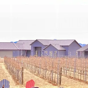 Vineyards at Deep Sky