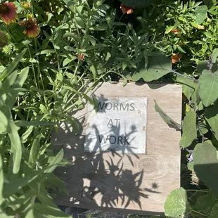 Vermicomposting in a garden bed