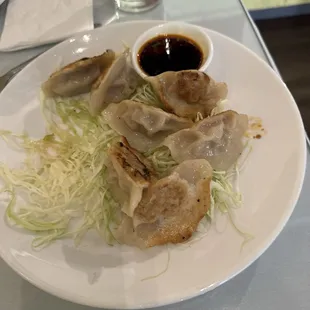 Pan Friede Pork Dumpling