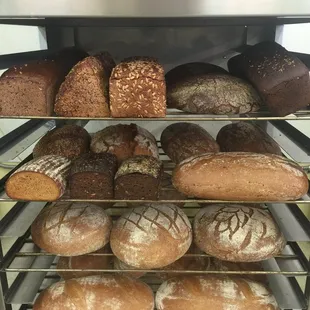 Bread from Germany baked daily!!! Frozen brochen for sale