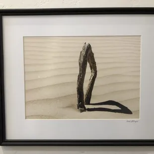 Sarah Stringer captured an interesting shadow.