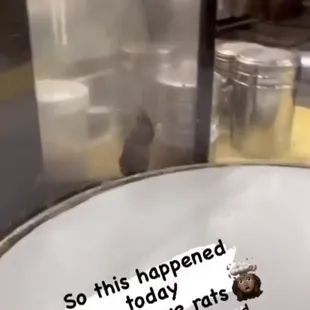 a picture of a chicken in a kitchen