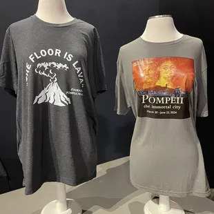 Gift shop t-shirts - The floor is hot lava!