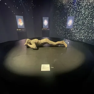 Pompeii exhibit - body cast of a young girl who died from volcanic ash