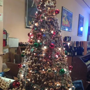 Cork tree