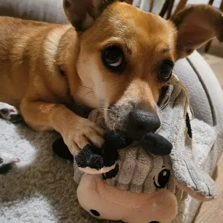 M H.