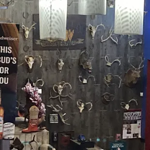 A wall of antlers, right of entry, a sample that adorn the casual establishment.