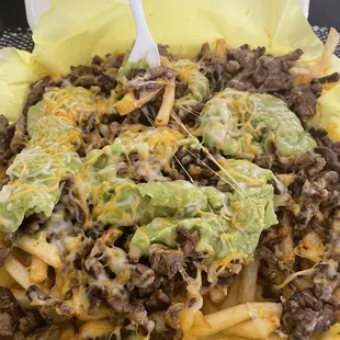 Carne Asada Fries