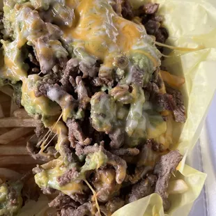 Carne Asada Fries